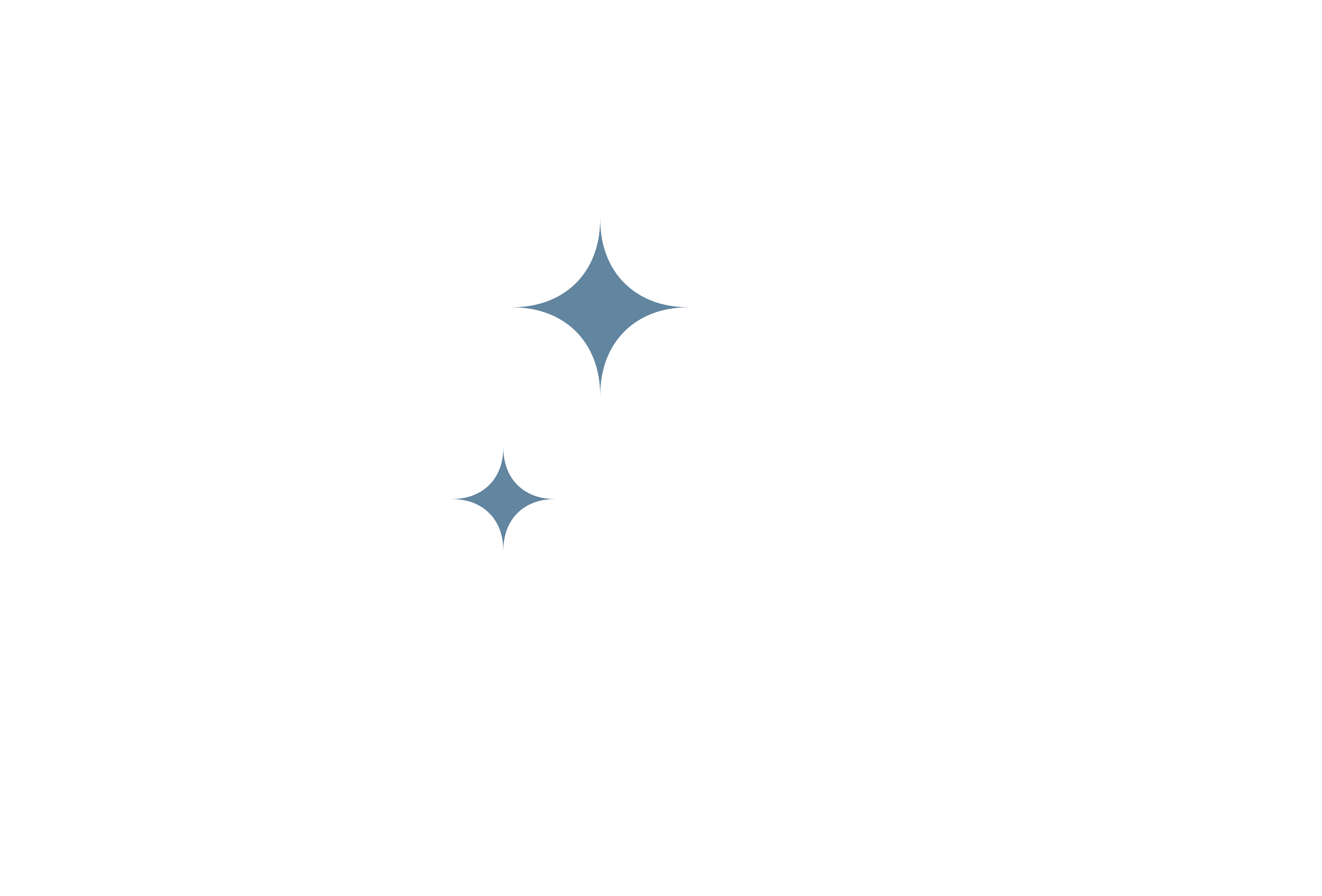 Lost Boys Loot Shop logo